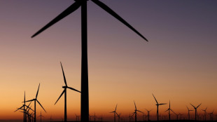 Com Trump de volta ao poder, energia e&oacute;lica vive incerteza nos EUA