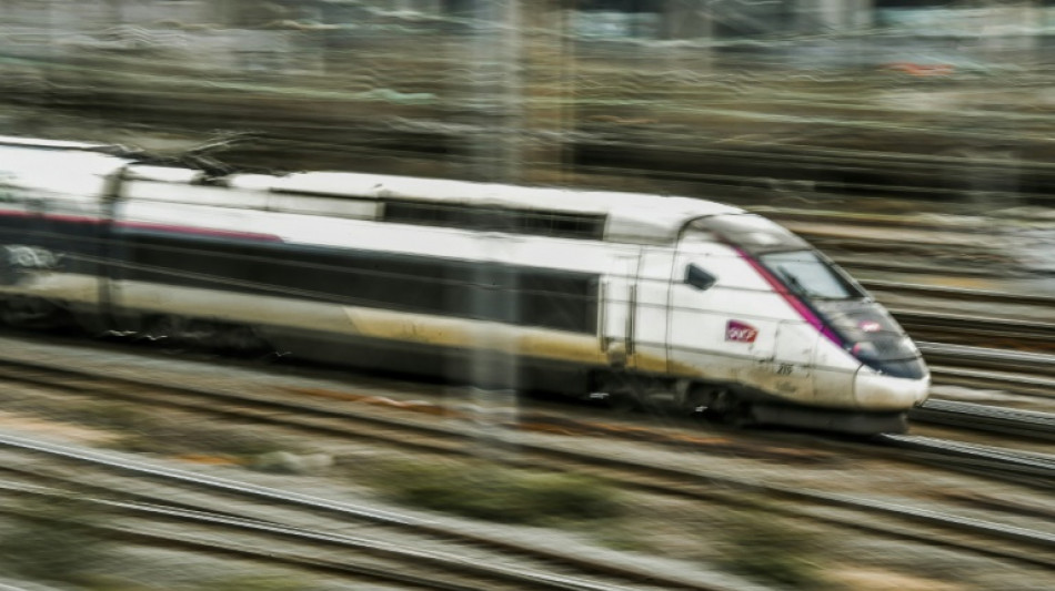 Trafic interrompu sur la ligne LGV Sud-Est: 80.000 voyageurs touch&eacute;s