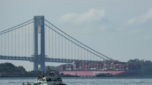 Des dizaines de ports am&eacute;ricains rouvrent apr&egrave;s la fin de la gr&egrave;ve des dockers