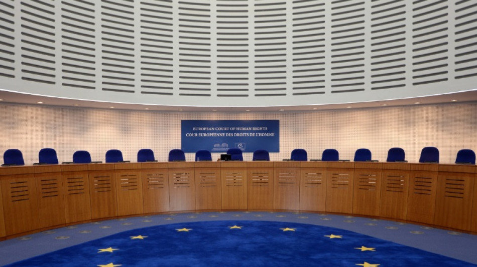 Policier condamn&eacute; &agrave; planter des arbres: la Turquie &eacute;pingl&eacute;e &agrave; la CEDH