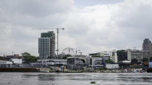 A Kinshasa, des terres agricoles englouties par le b&eacute;ton