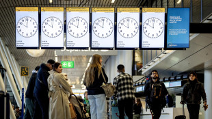 Iata, la domanda di voli a novembre 2025 sale del 5,7% sull'anno