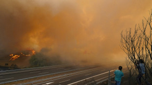 España consumida por incendios forestales en el noroeste y el oeste