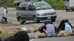 Manifesta&ccedil;&otilde;es em apoio a Morales come&ccedil;am a gerar desabastecimento na Bol&iacute;via