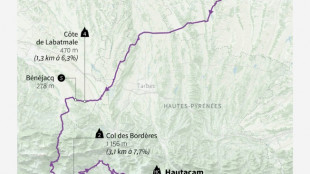La douzième étape du Tour de France: au révélateur de Hautacam