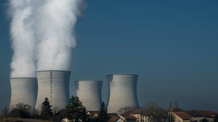 Nucl&eacute;aire: des d&eacute;rogations environnementales pour faire tourner cinq centrales