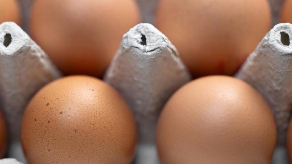 Gericht: Veganer Likör darf "Likör ohne Ei" heißen