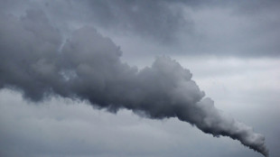 Italy challenges EU over key climate tool