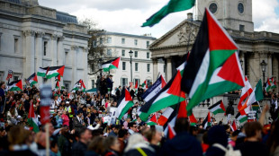 Miles de personas se re&uacute;nen en Londres en una manifestaci&oacute;n propalestina