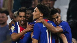 Ligue 1: m&ecirc;me moyen, le Paris SG trop fort pour l'OM