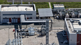 Le scorte italiane di gas aggiungono l'85%, consumi +15%
