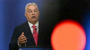 Orban, "ovelha negra" na UE, vive momento de gl&oacute;ria em c&uacute;pula na Hungria