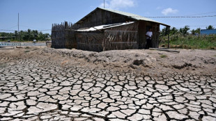 Vietnam: dans le delta du M&eacute;kong, des agriculteurs d&eacute;munis en qu&ecirc;te d'eau douce