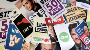 Elei&ccedil;&atilde;o antecipada nos Pa&iacute;ses Baixos &eacute; considerada um teste para extrema direita na Europa