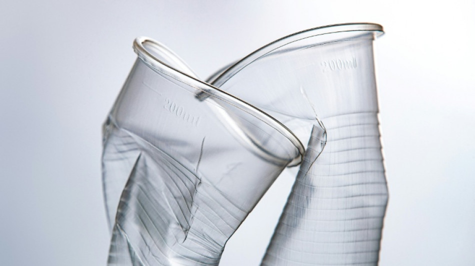 Frankreich verschiebt Verbot von Wegwerf-Plastikbechern um vier Jahre 