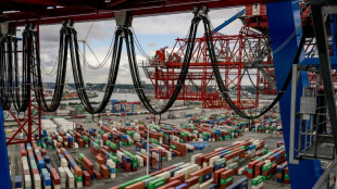 K&uuml;hne will wegen MSC-Einstieg vom Hamburger Hafen Kapazit&auml;t abziehen
