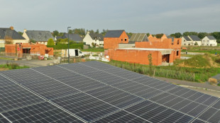 Le solaire première source d'électricité en juin en Europe (centre de réflexion)