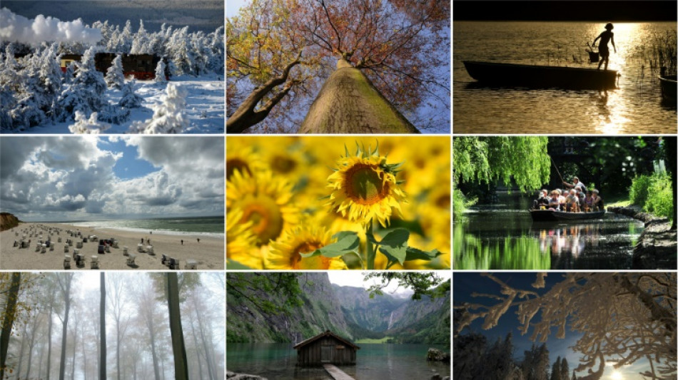 Bundesumweltminister Schneider will Wälder und Moore wieder zu CO2-Speichern machen