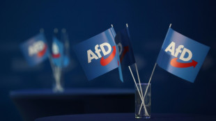 AfD-nahe Stiftung scheitert vor K&ouml;lner Gericht mit Klage auf Bundesf&ouml;rderung