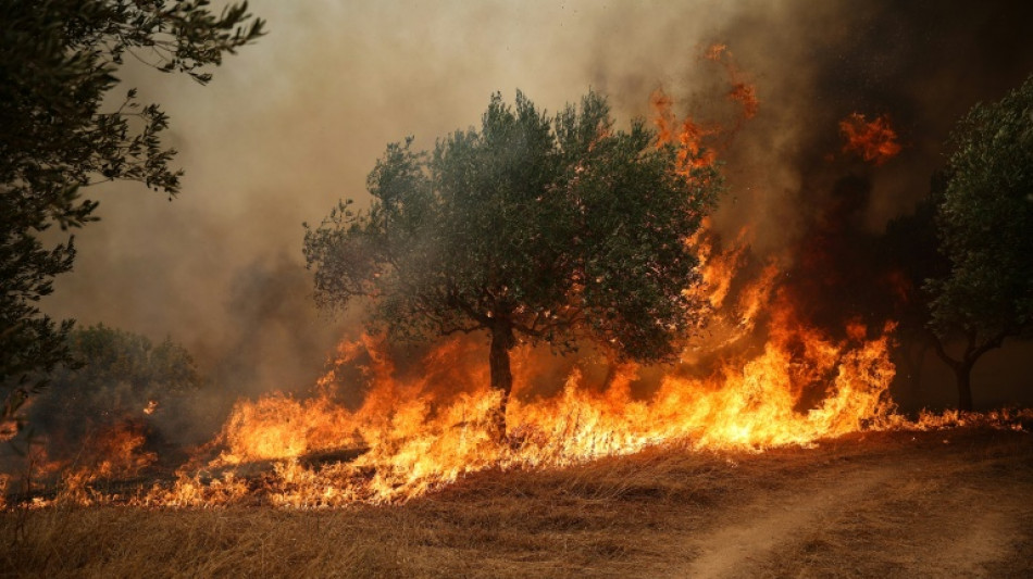 Gr&egrave;ce : trois personnes en d&eacute;tention provisoire apr&egrave;s le m&eacute;gafeu &agrave; l'ouest d'Ath&egrave;nes