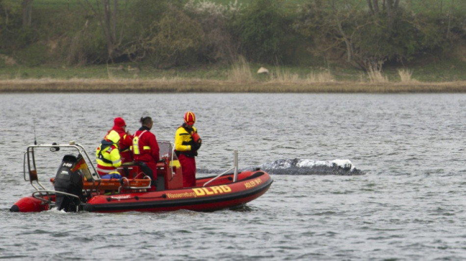Waldrama vor Insel Poel: Rettung mit Lastkahn soll am Dienstagmorgen starten