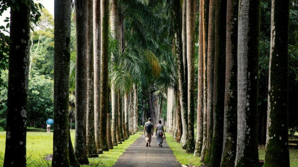 Le tourisme mondial devrait retrouver son niveau pr&eacute;-pand&eacute;mie en 2024, selon une agence onusienne