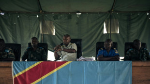 Meurtre de l'ambassadeur d'Italie en RDC: six condamnations &agrave; perp&eacute;tuit&eacute; 