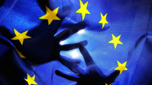 Lobbycontrol: Wirtschaft gibt Rekordsumme f&uuml;r Einflussnahme auf EU-Institutionen aus
