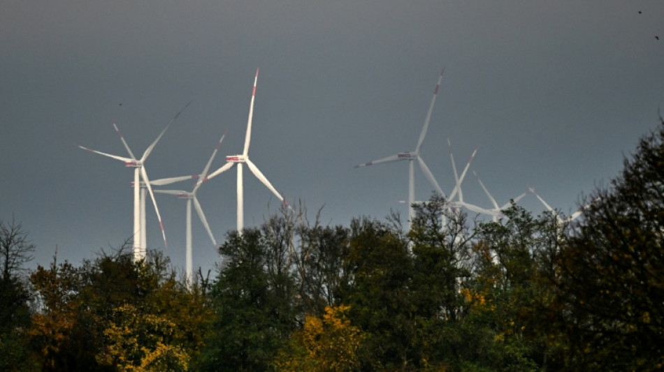 'Dark lull' in German energy transition sparks political debate