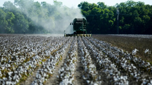 La s&eacute;cheresse d&eacute;cime les champs de coton du Texas
