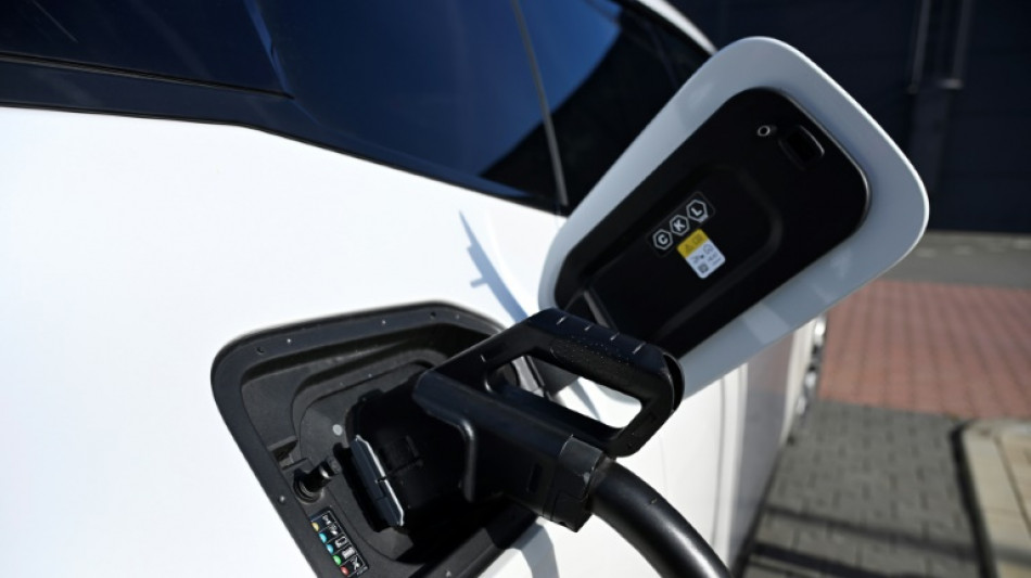 E-Auto auch ohne hohes Einkommen: Öko-Institut fordert Social Leasing