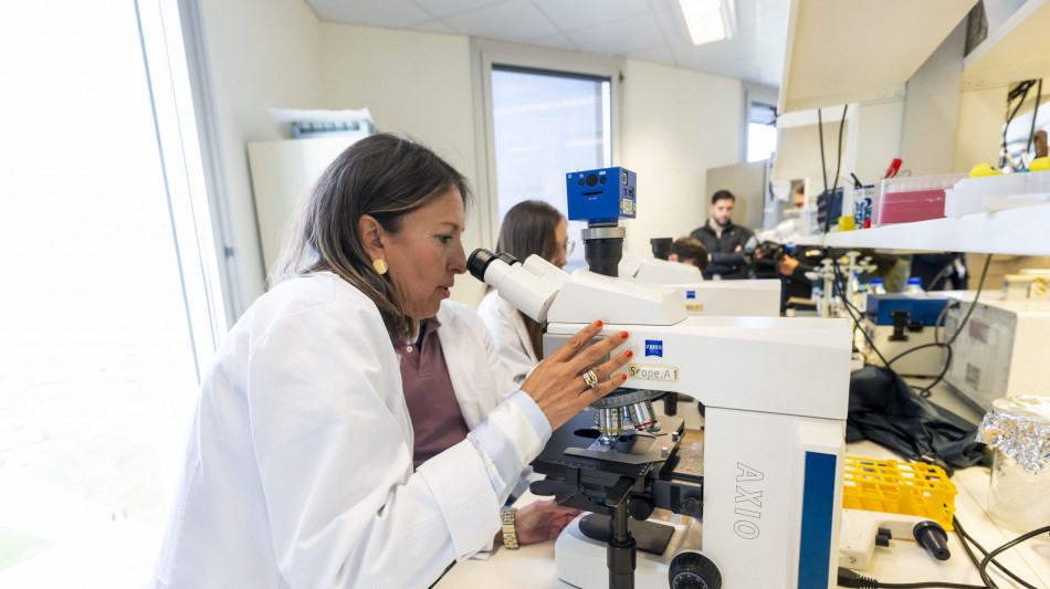 Alleanza contro il cancro, rafforzare la cooperazione nella lotta ai tumori