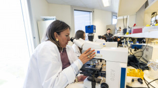 Alleanza contro il cancro, rafforzare la cooperazione nella lotta ai tumori