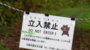 "As&iacute; es como voy a morir": los ataques de osos aterrorizan Jap&oacute;n