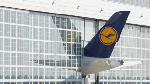 Neuer Service in Frankfurt: Lufthansa holt Gep&auml;ck gegen Geb&uuml;hr von zu Hause ab