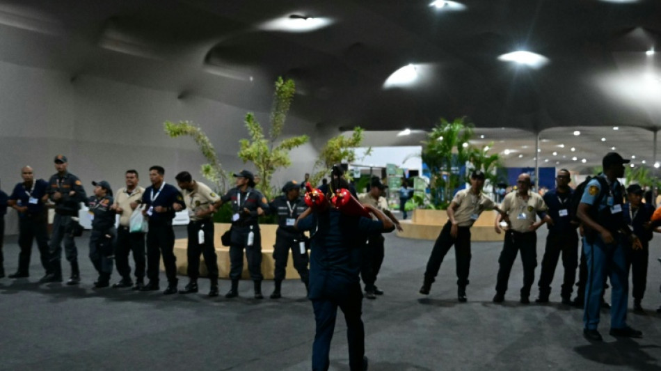 Inc&ecirc;ndio paralisa COP30 em sua reta final