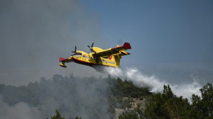 Waldbrand im nordgriechischen Dadia-Nationalpark weiter "au&szlig;er Kontrolle"