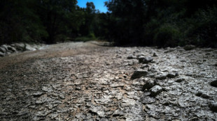 France struggles with drought over punishing summer of heat