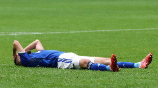Schalke 04 st&uuml;rzt gegen Hertha BSC tiefer in die Krise 