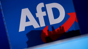 Verfassungsschutz darf AfD vorl&auml;ufig weiter als Verdachtsfall einstufen
