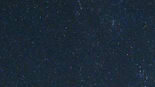 Precursori dei mattoni della vita attorno a una stella neonata