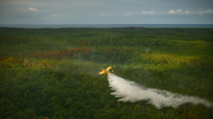 El megaincendio en el suroeste de Francia est&aacute; "estable" y "contenido"