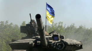 FDP offen f&uuml;r direkte Panzerlieferungen aus Deutschland
