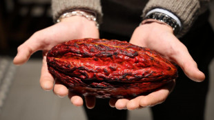 Nel cioccolato fondente una sostanza nemica dell'invecchiamento