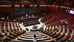 Camera respinge mozione Pd-Avs-M5s sul memorandum Israele