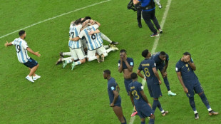 Mondial: confusion autour d'un rassemblement -ou pas- des Bleus &agrave; Paris