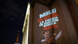 Milei oferece &agrave; Europa uma Argentina com 'energia abundante'; TotalEnergies anuncia investimento bilion&aacute;rio