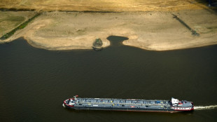 Bis zu drei Grad hei&szlig;er: EU-Kommission dringt auf Anpassung an den Klimawandel