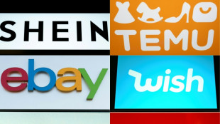 Despu&eacute;s de Shein, el gobierno franc&eacute;s denuncia a otras seis plataformas ante la justicia