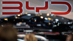 La cinese Byd cresce in Italia, quota di mercato dell'1%